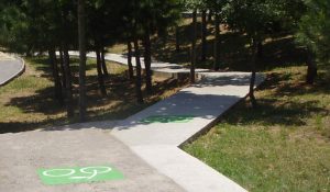 One of the new bike lane in Barcelona that go through the trees